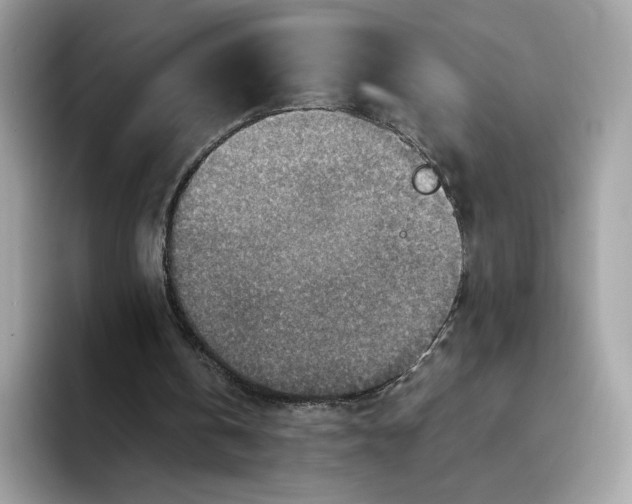 X0000094340146200711301255