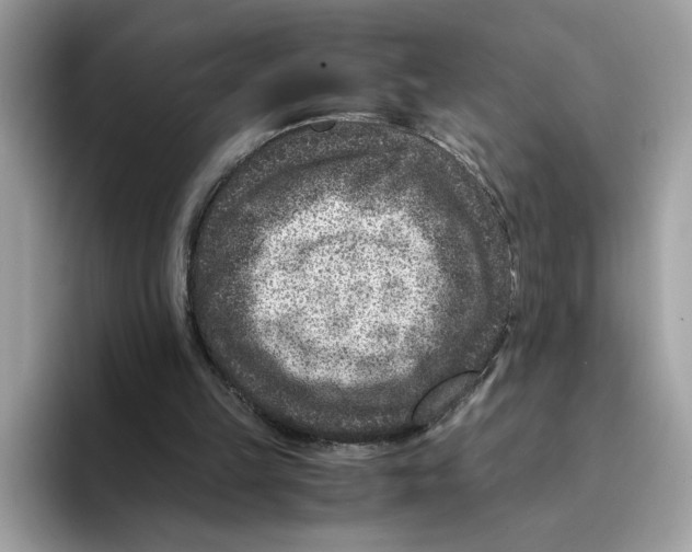 X0000094340149200711301255