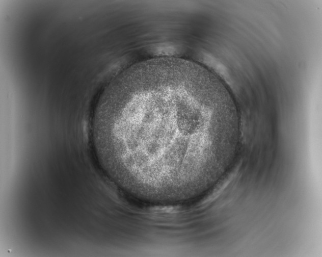 X0000094340161200711301256