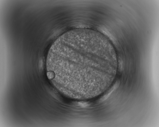 X0000094340165200711301256