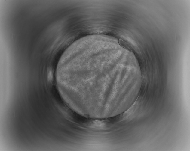 X0000094340166200711301256