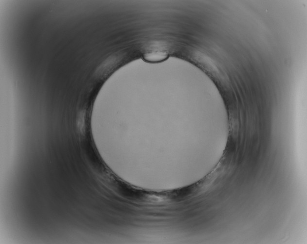 X0000094340167200711301256