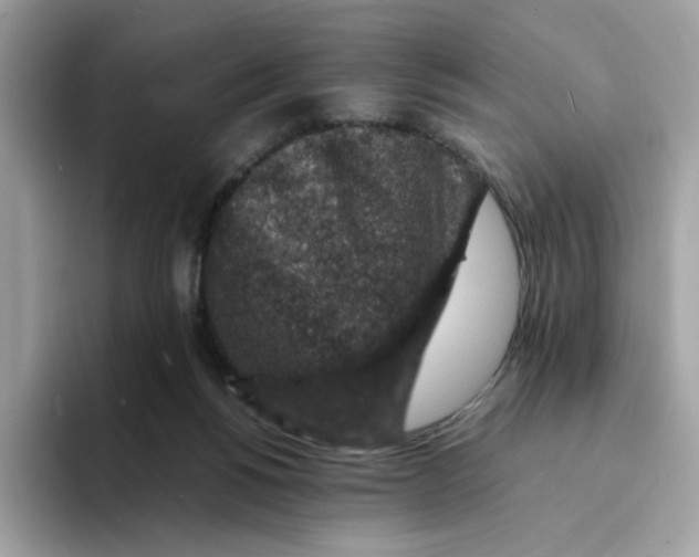 X0000094340168200711301256