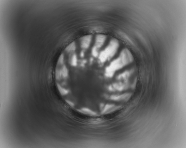 X0000094340169200711301256