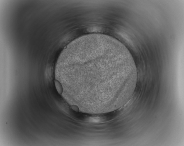 X0000094340171200711301256