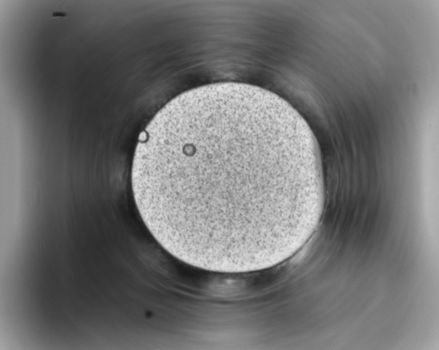 X0000094340174200711301256