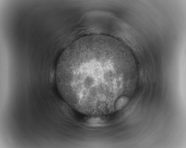 X0000094340177200711301256