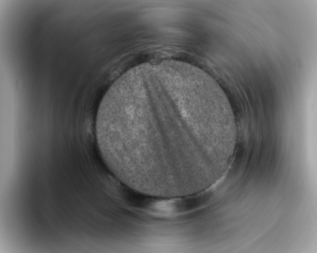 X0000094340178200711301256