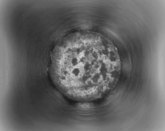 X0000094340181200711301256