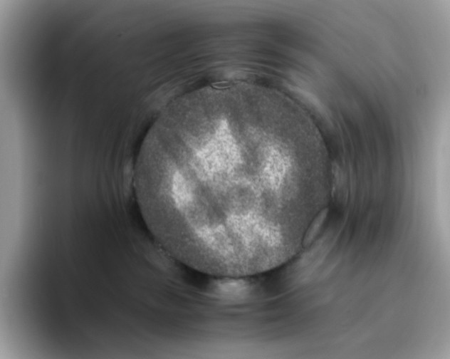 X0000094340189200711301256