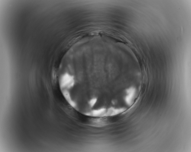 X0000094340191200711301256