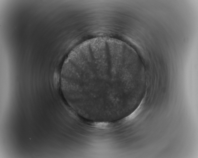 X0000094340192200711301256