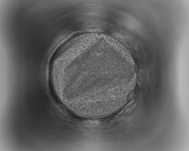 X0000094340194200711301255