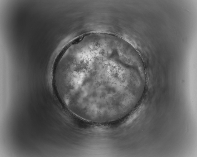 X0000094340199200711301255