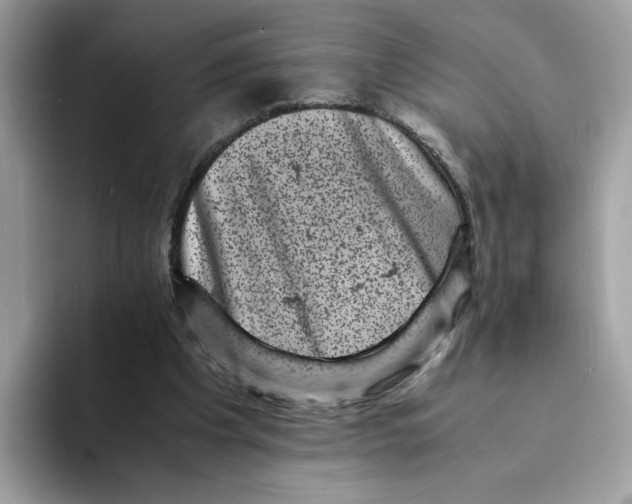 X0000094340201200711301255