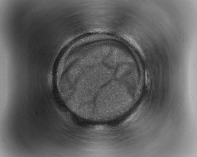 X0000094340204200711301255