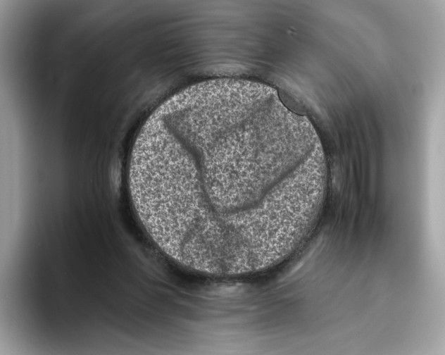 X0000094340206200711301255