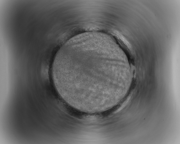 X0000094340209200711301255