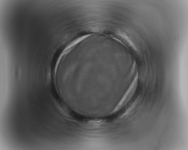 X0000094340213200711301255