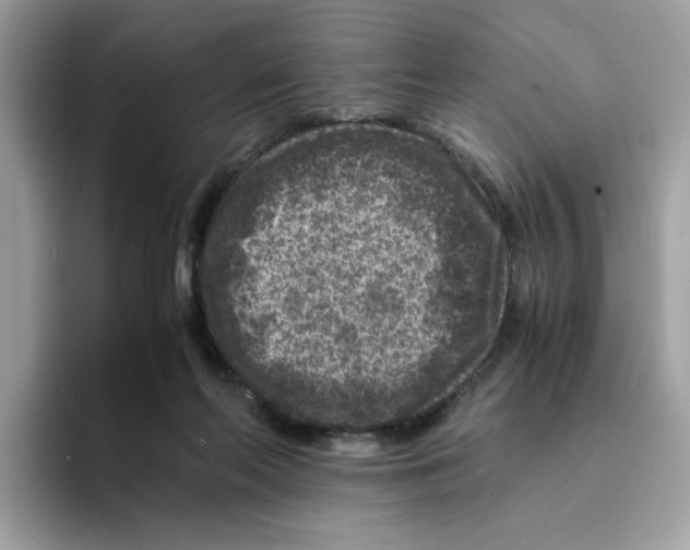 X0000094340214200711301255