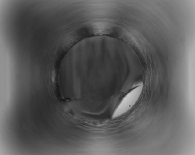 X0000094340219200711301255