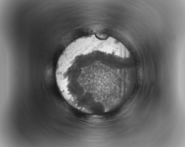 X0000094340222200711301255