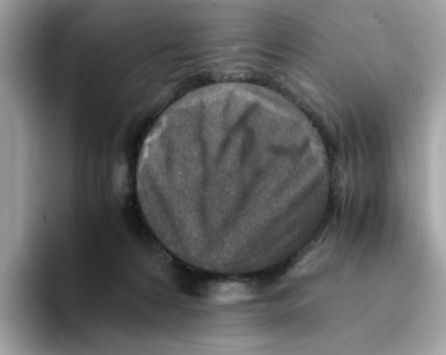 X0000094340224200711301255