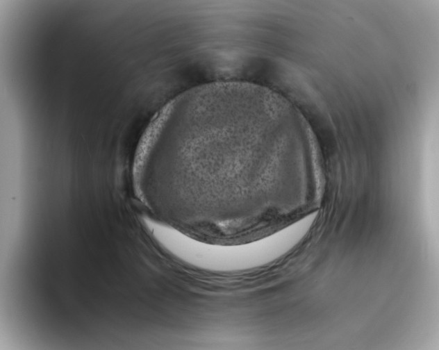 X0000094340225200711301255