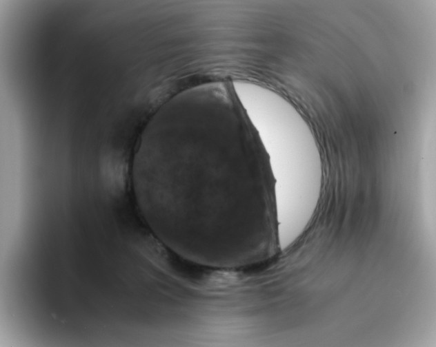 X0000094340227200711301255