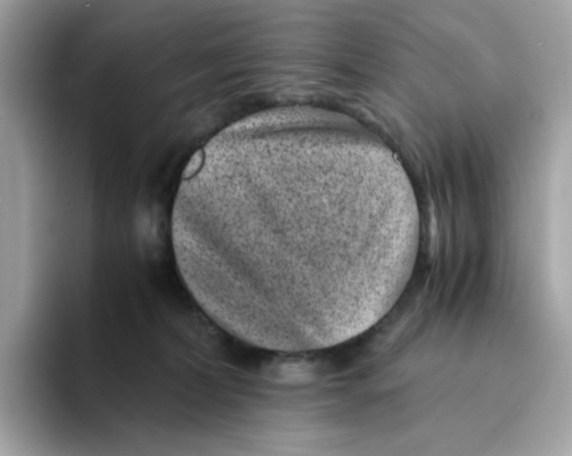 X0000094340228200711301255