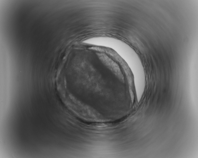 X0000094340229200711301255