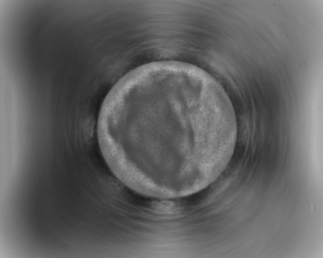 X0000094340230200711301255