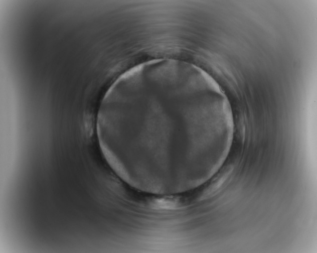 X0000094340232200711301255