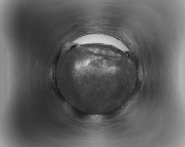 X0000094340233200711301255