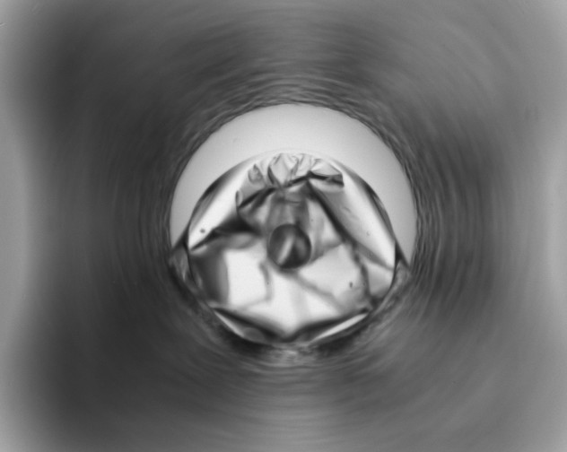 X0000094340239200711301255