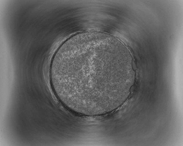 X0000094340241200711301254