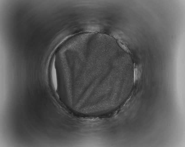 X0000094340243200711301254