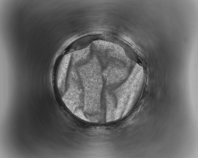 X0000094340244200711301254