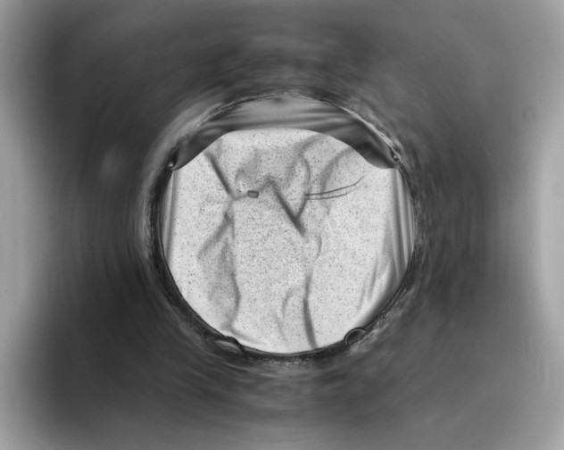 X0000094340245200711301254