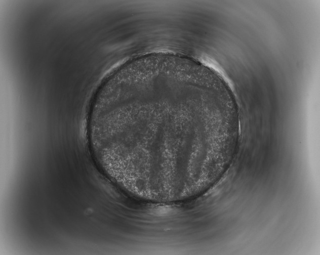 X0000094340249200711301254