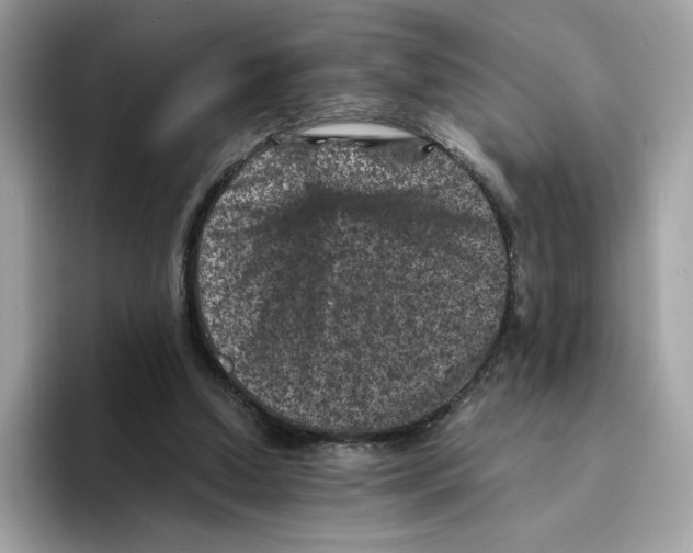 X0000094340250200711301254