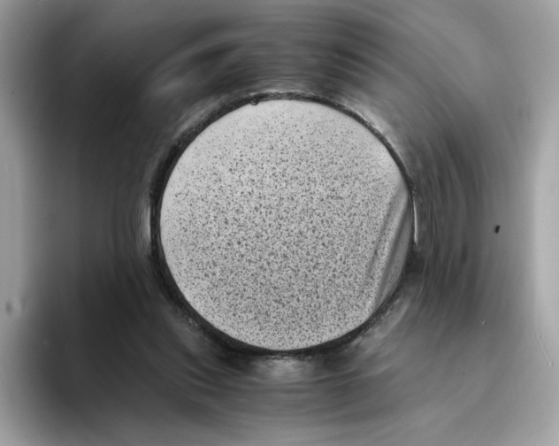 X0000094340253200711301254