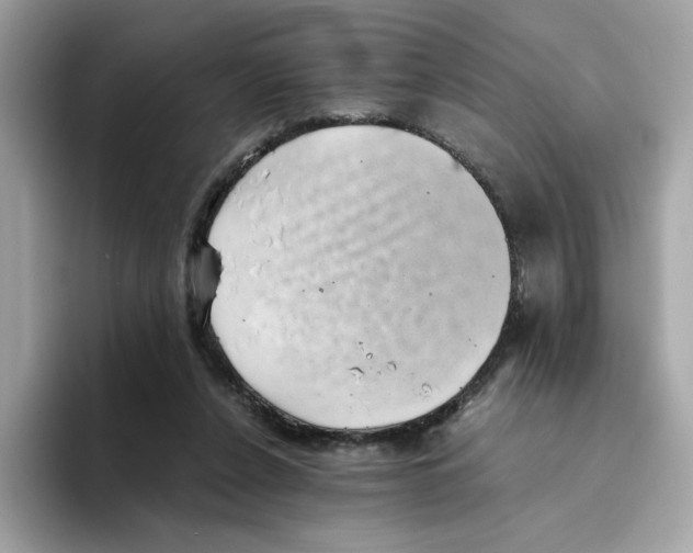 X0000094340256200711301254