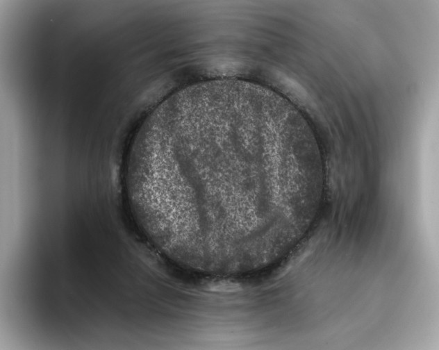 X0000094340258200711301254