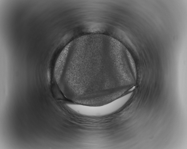 X0000094340260200711301254