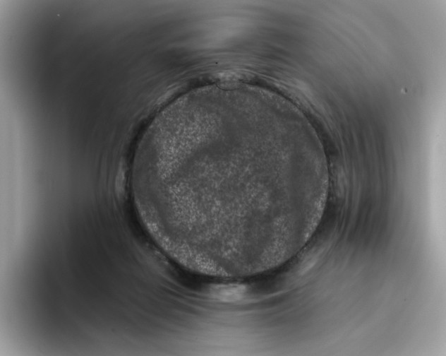 X0000094340266200711301254