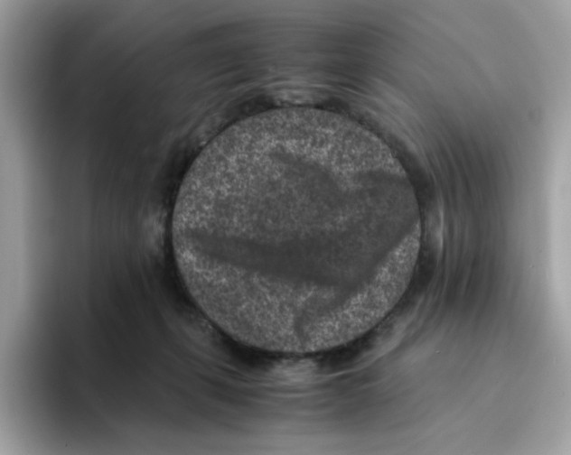 X0000094340271200711301254