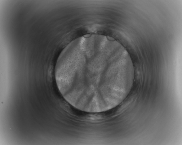 X0000094340275200711301255