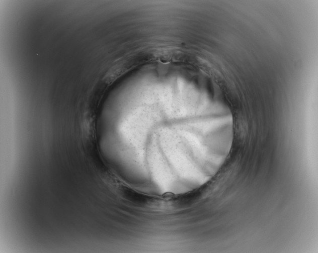 X0000094340276200711301255