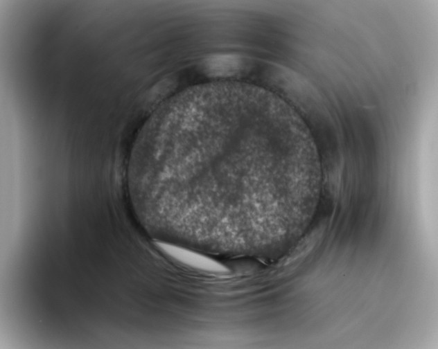 X0000094340277200711301255